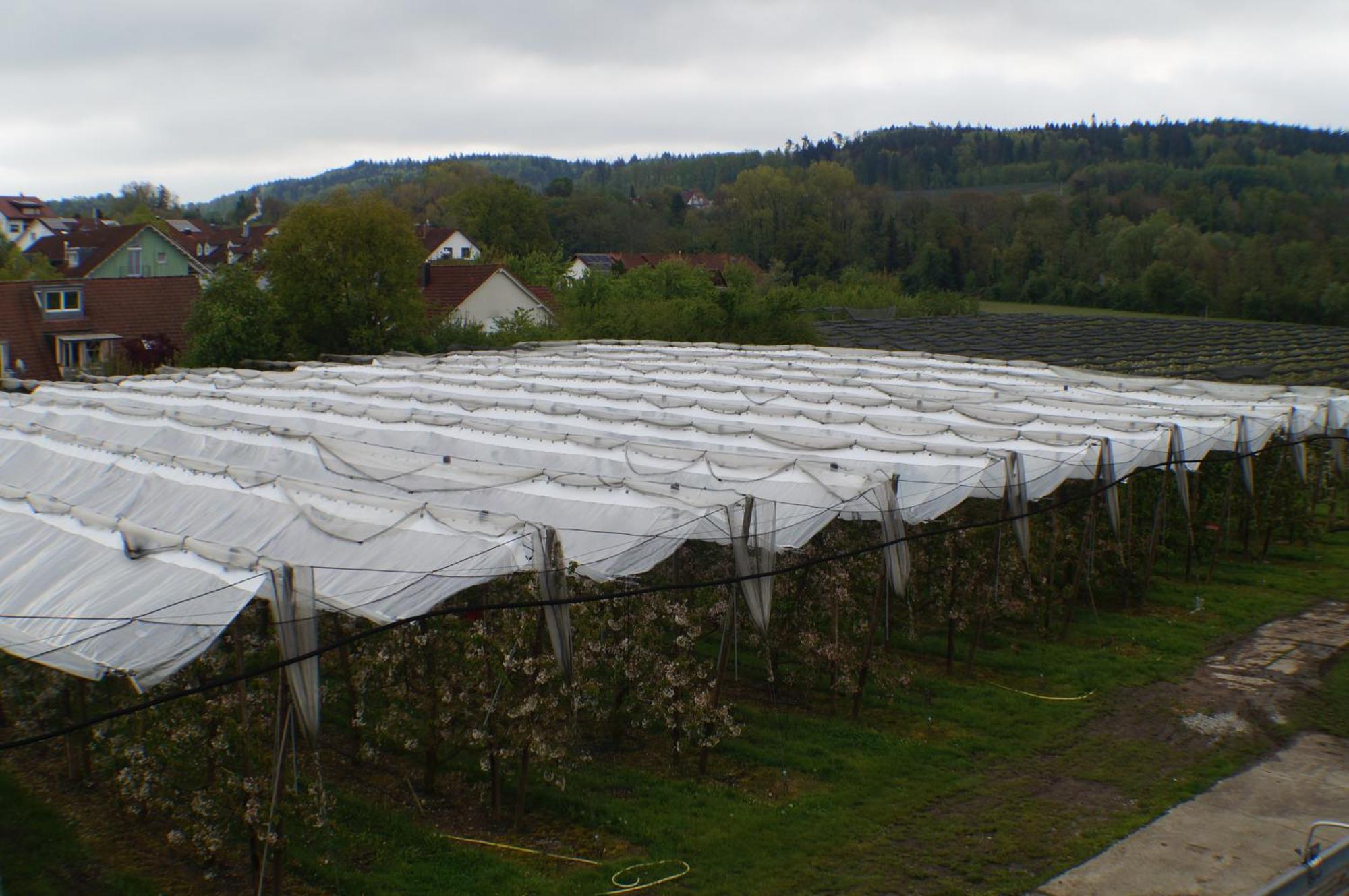 Bodensee Uhldingen-Mühlhofen